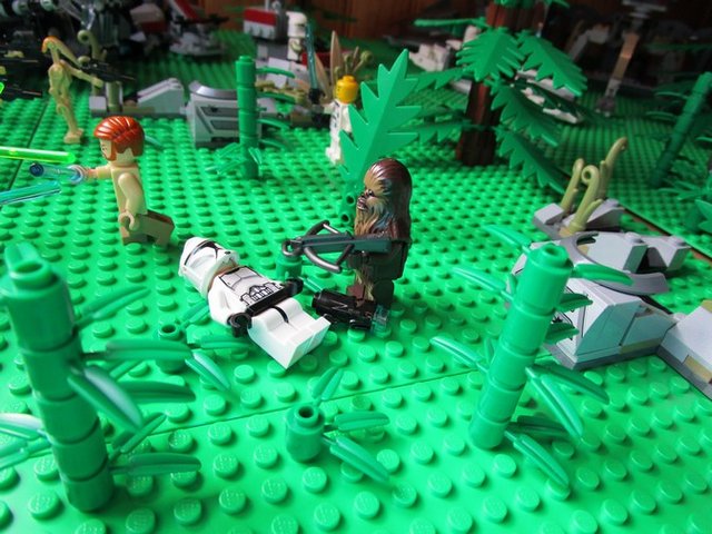 IMG_0233.JPG