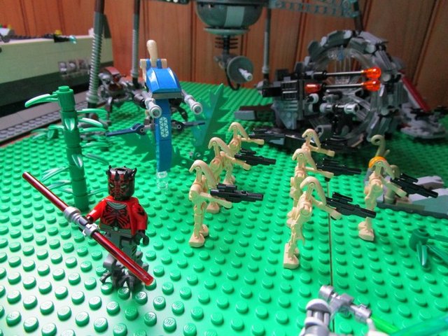 IMG_0229.JPG
